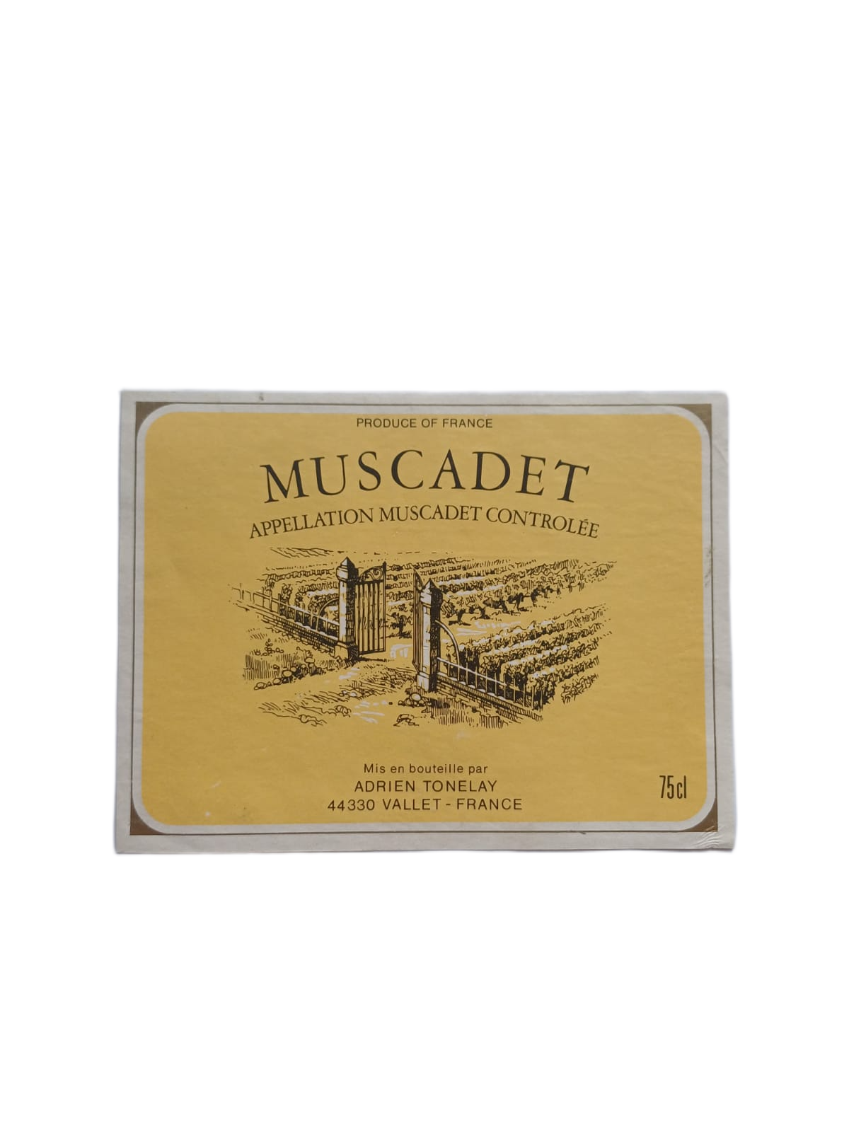 Étiquette vin Muscadet – Adrien Tonelay Vinaé