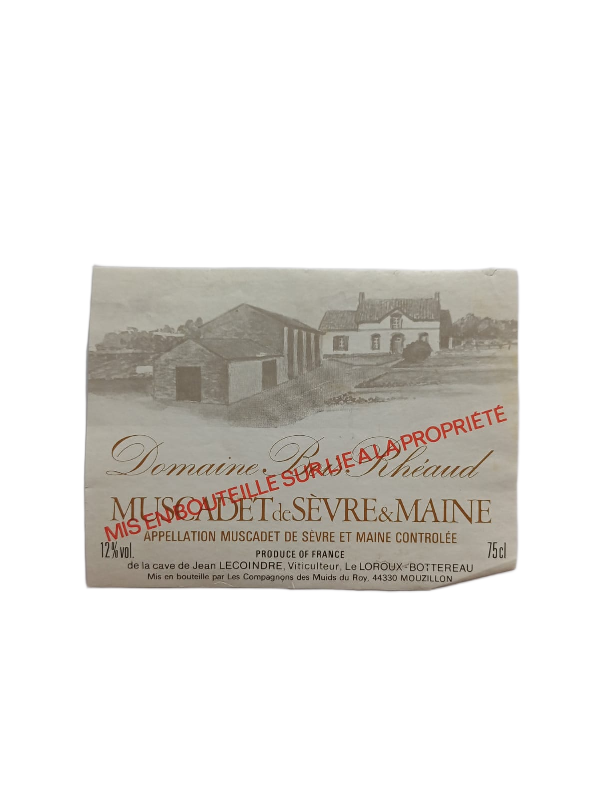 Étiquette vin Muscadet – Jean Lecoindre Vinaé