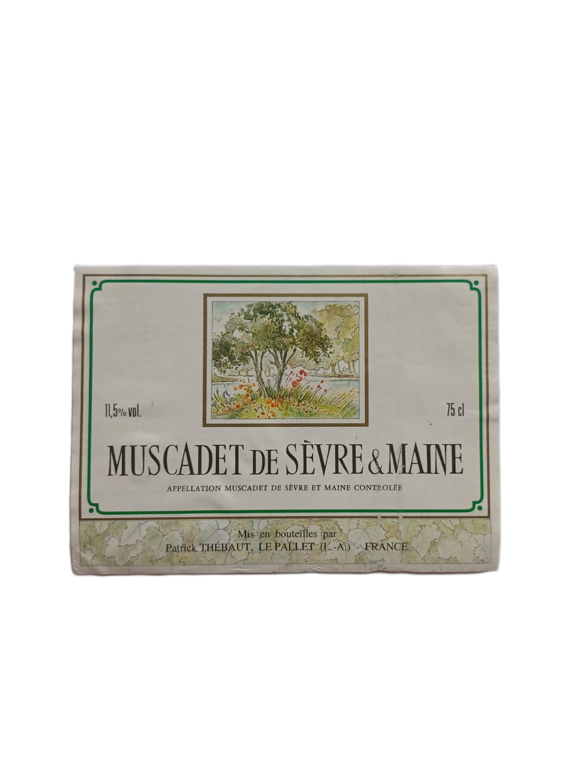 Étiquette vin Muscadet – Patrick Thébaut Vinaé